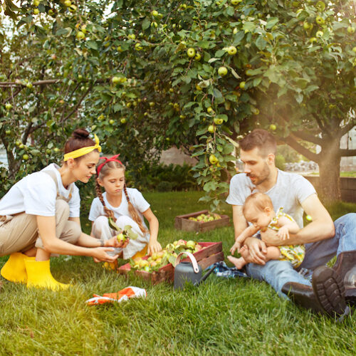 Familie in voedselbos